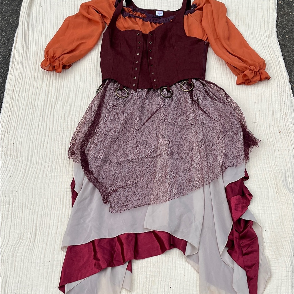 Hocus Pocus Mary Sanderson Halloween costume Large